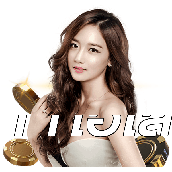 11ไฮโล